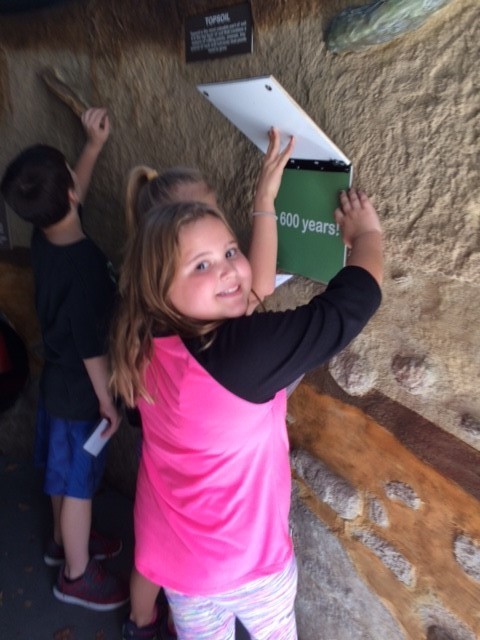 student looking closely at cave wall